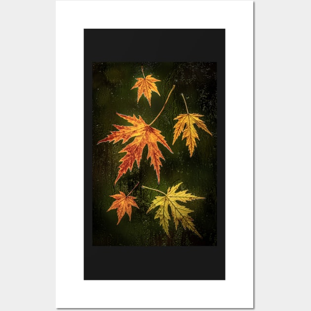 Acer Leaves on a Window with Raindrops Wall Art by TonyNorth